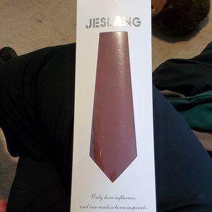 Men's tie. NWT. Brick red (labeled "rust")